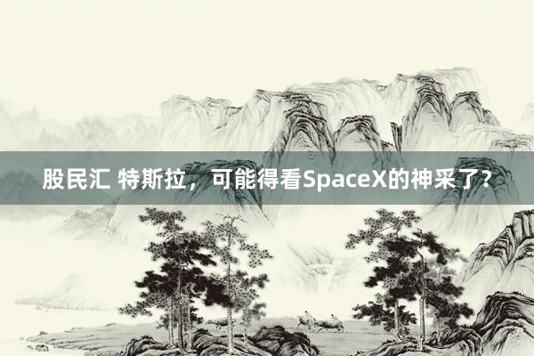 股民汇 特斯拉，可能得看SpaceX的神采了？