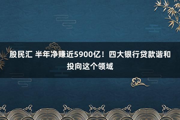 股民汇 半年净赚近5900亿！四大银行贷款谐和投向这个领域