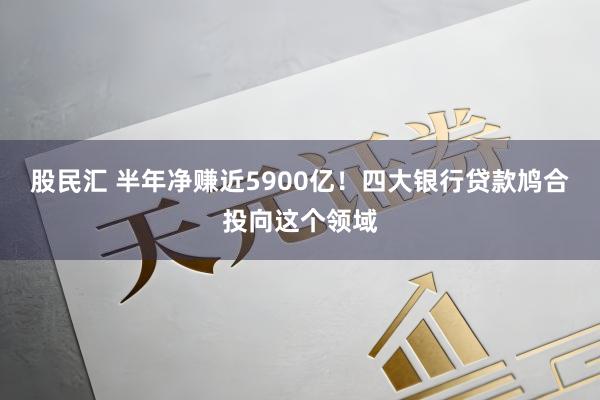 股民汇 半年净赚近5900亿！四大银行贷款鸠合投向这个领域