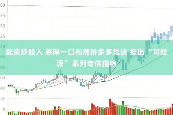 配资炒股入 憨厚一口布局拼多多渠谈 推出 “可粒派” 系列专供猫粮