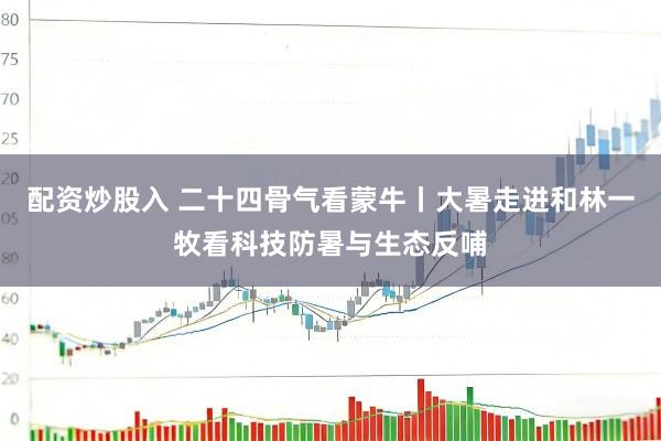 配资炒股入 二十四骨气看蒙牛丨大暑走进和林一牧看科技防暑与生态反哺
