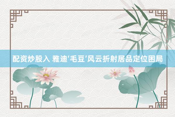 配资炒股入 雅迪‘毛豆’风云折射居品定位困局