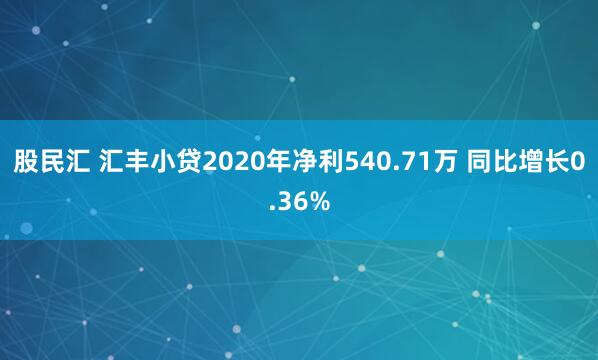 股民汇 汇丰小贷2020年净利540.71万 同比增长0.36%