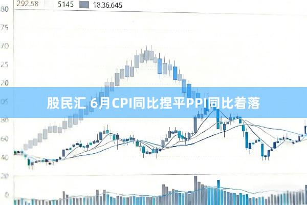 股民汇 6月CPI同比捏平PPI同比着落